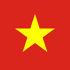 Vietnam VPN - Plugin for OpenVPN APK icon